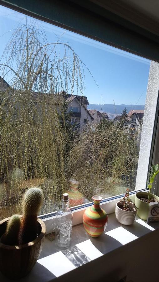 Ferienwohnung Simple And Comfortable Miercurea Ciuc Exterior foto